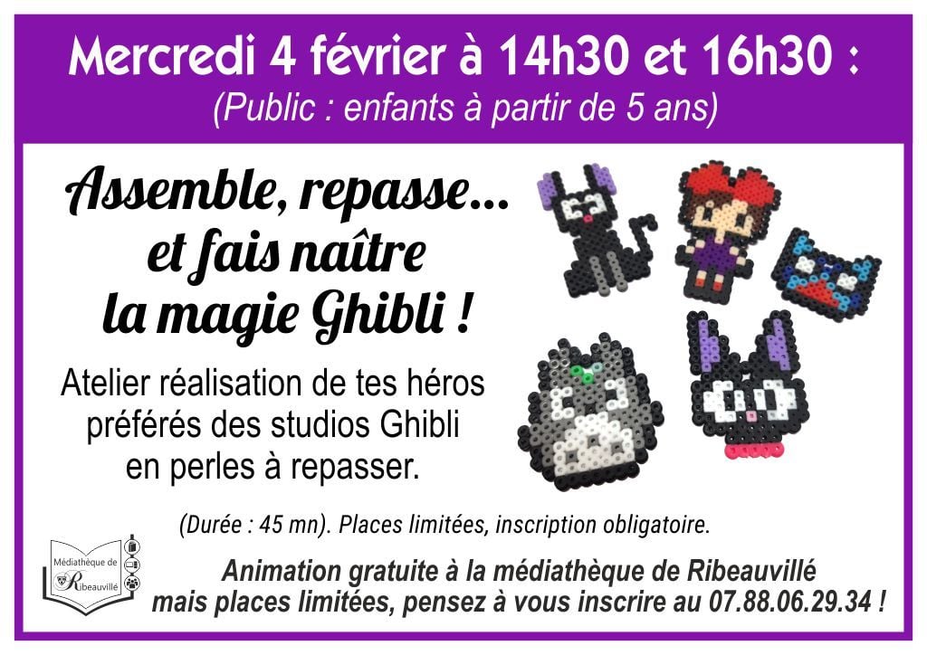 2026 02 04 perles repasser